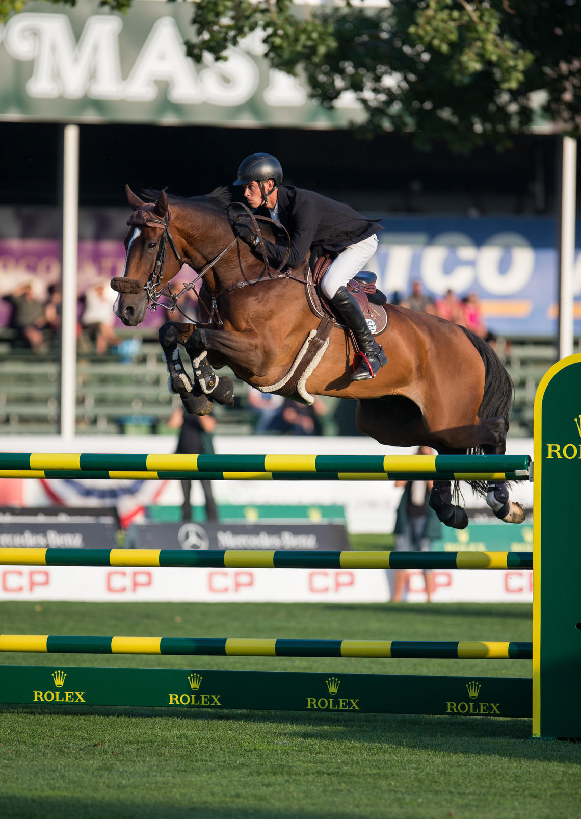 The Masters at Spruce Meadows plays host to world-class equine athletes and, this year, world-class equine researchers as well.