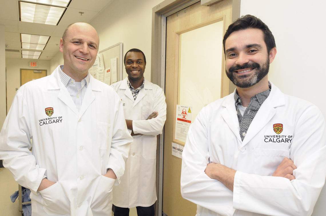 Sand flies infect about one million people each year, causing a chronic and sometimes deadly disease called Leishmaniasis. From left, associate professor Nathan Peters and postdoc fellows Chukwunonso Nzelu and Matheus Carneiro. 
