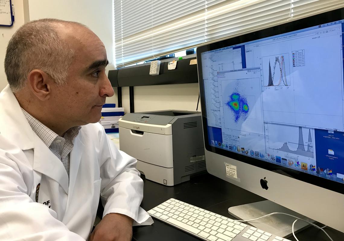 Postdoctoral fellow Wagdi Almishri is doing ongoing research in Mark Swain’s lab to determine how mirtazapine has a beneficial effect on the liver in primary biliary cholangitis patients. The findings from this research work may have important implications for improved treatment for a broad range of other chronic autoimmune diseases. 
