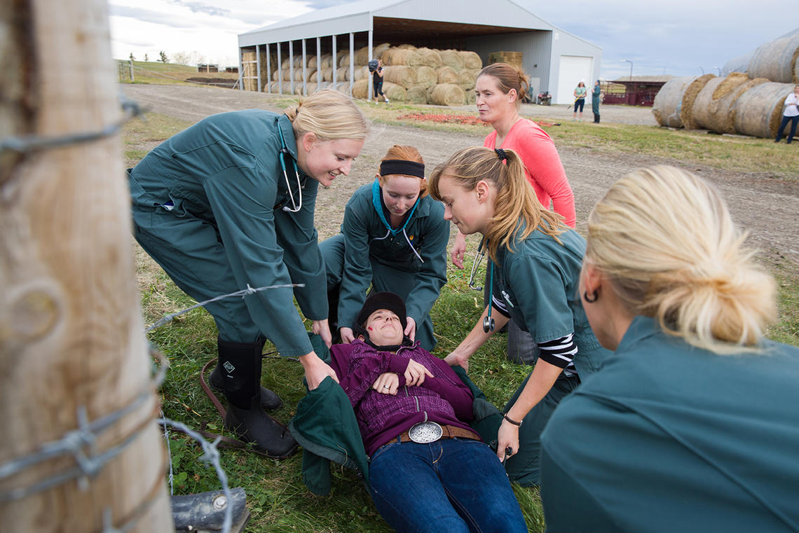 Students at the UCVM’s Spyhill campus encounter a mock emergency situation and learn how to work as a team to manage the scene, make a plan, and use good communication skills. 