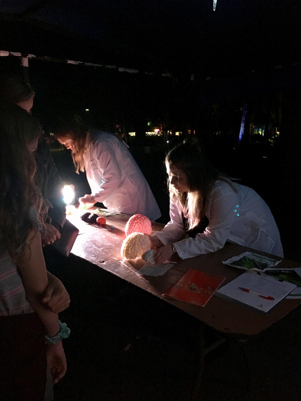 UCalgary students and researchers share insights into the brain, human and otherwise, at Beakerhead