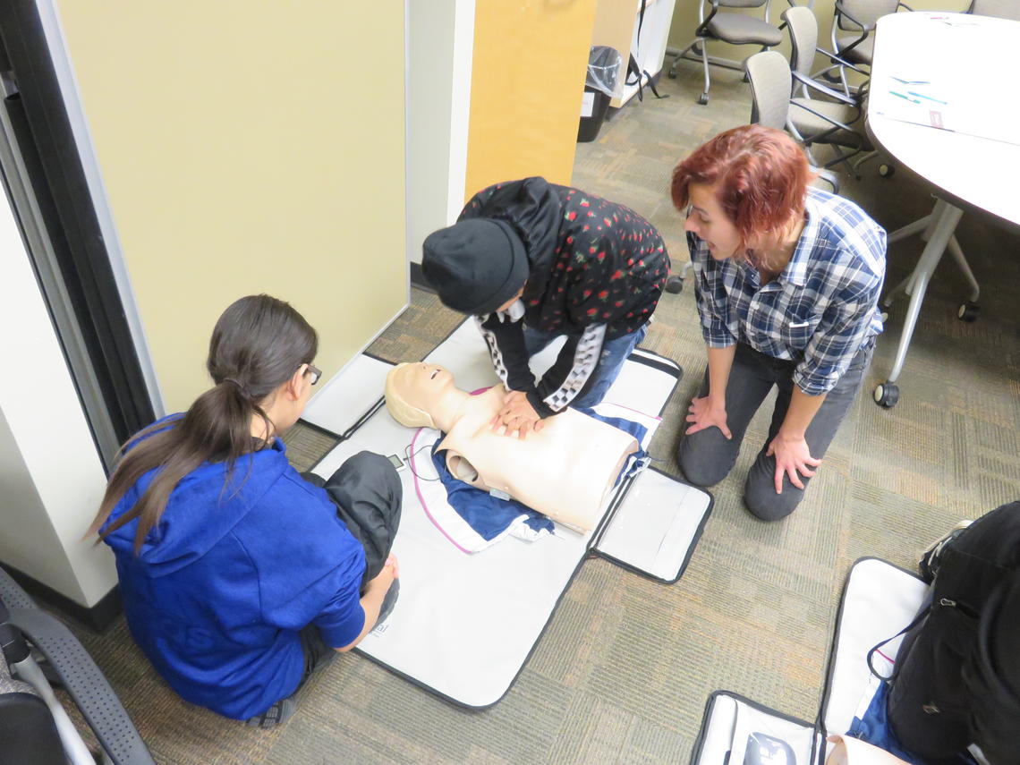 Morley students get to try hands-on training with nursing's CPR manikins. 