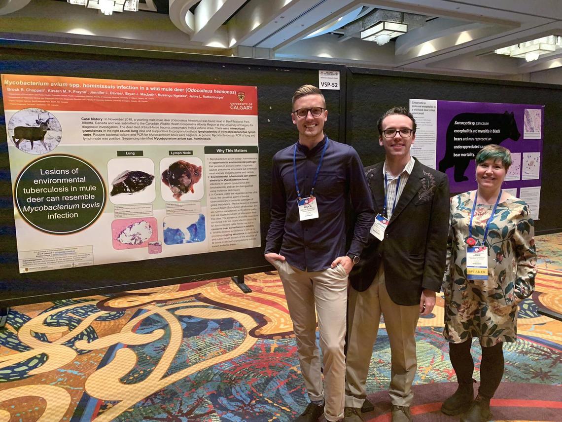 UCVM DVM students present research at American pathologist annual meeting