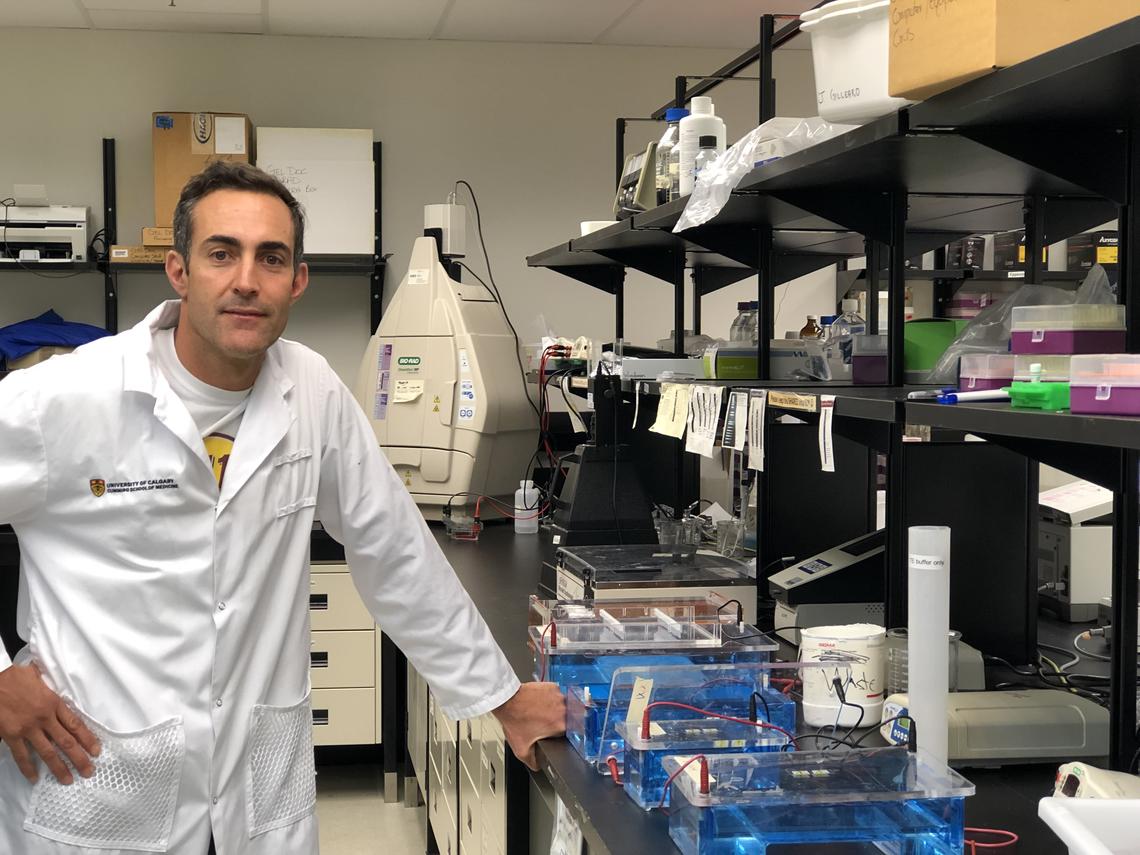 Dr. Eduardo Cobo's lab studies how a peptide secreted by the immune system in the small intestine protects animals from toxoplasmosis, a parasitic disease with no known cure.