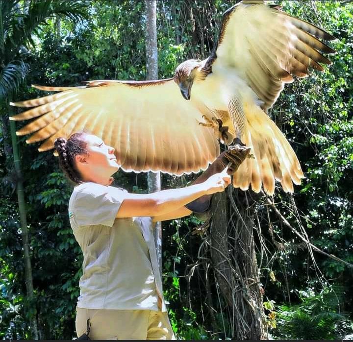 Halaq with a Philippine eagle, the country's national bird