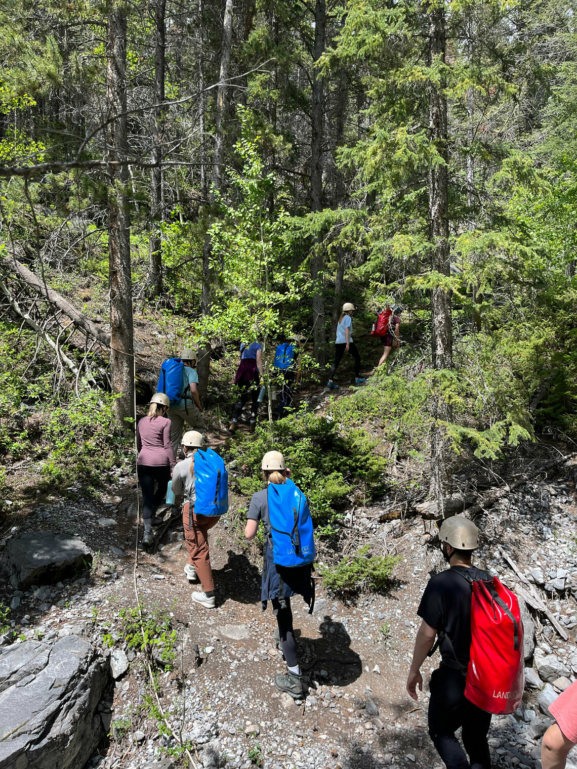 students hiking in the mountains