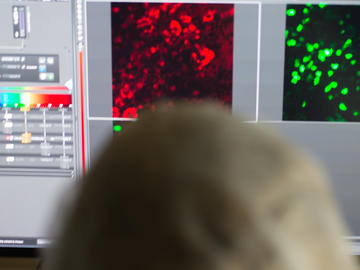 Live cell imaging: The IMC has partnered with the Snyder Institute live cell imaging facility, which will present a unique ability to image the microbiome in-vivo and in-vitro, to study the microbiome under changing environments.