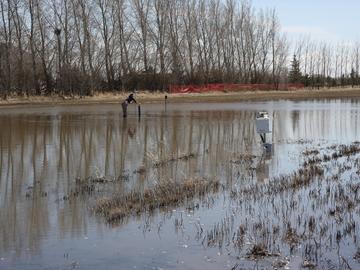 A pond, or depression, in a farmer’s field outside of Lethbridge on April 23