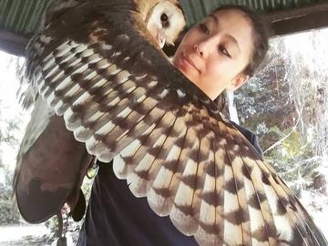 Getting "cozy" with a rare raptor