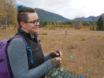 Meadley Dunphy shows the dried Rhianthus plant