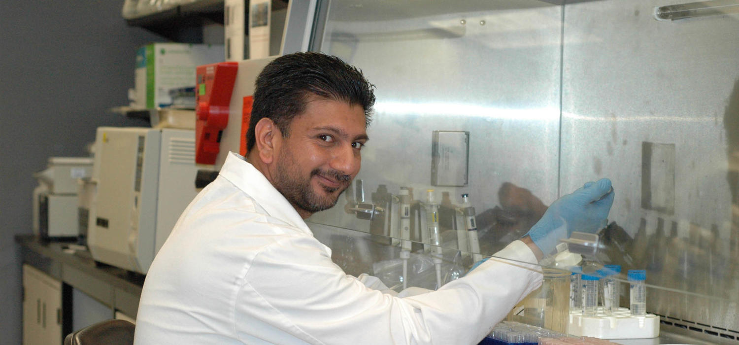 Sohail Naushad discovered a new species of staphylococcus in a sample of cow’s milk while researching bovine mastitis. Photo by Jeroen De Buck.