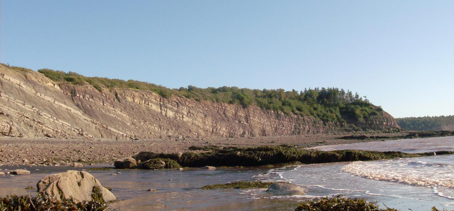The Joggins Fossil Cliffs in Nova Scotia are a unique and rich site for preserved fossils