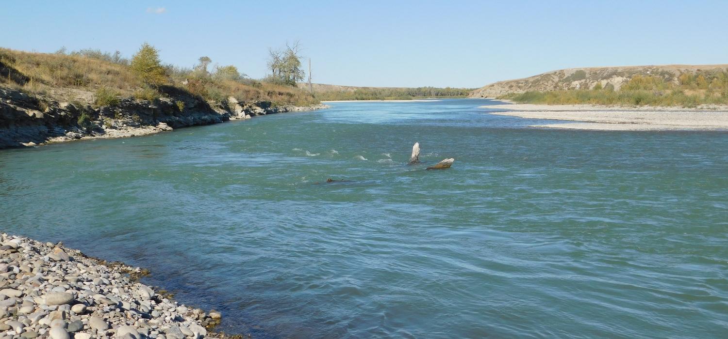 Tahlisha North Peigan- River