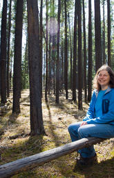 University of Calgary researcher Mary Reid, professor in the Department of Biological Sciences, is studying the interaction between beetles and trees. She has found attacked trees are the ones with more defences because the pine beetles can smell them and detect them as as suitable breeding spots. Photos by Riley Brandt, University of Calgary 