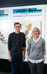 Herbarium director Jana Vamosi, right, with digital special projects associate Rob Alexander, who oversaw the creation of the new online Flora of Alberta collection. Photo by Riley Brandt, University of Calgary