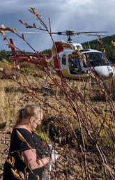 The helicopter waits as researchers collect samples and data at a site on the Tay River