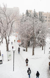 Winter campus
