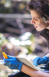 A resercher conducting an experiment. 