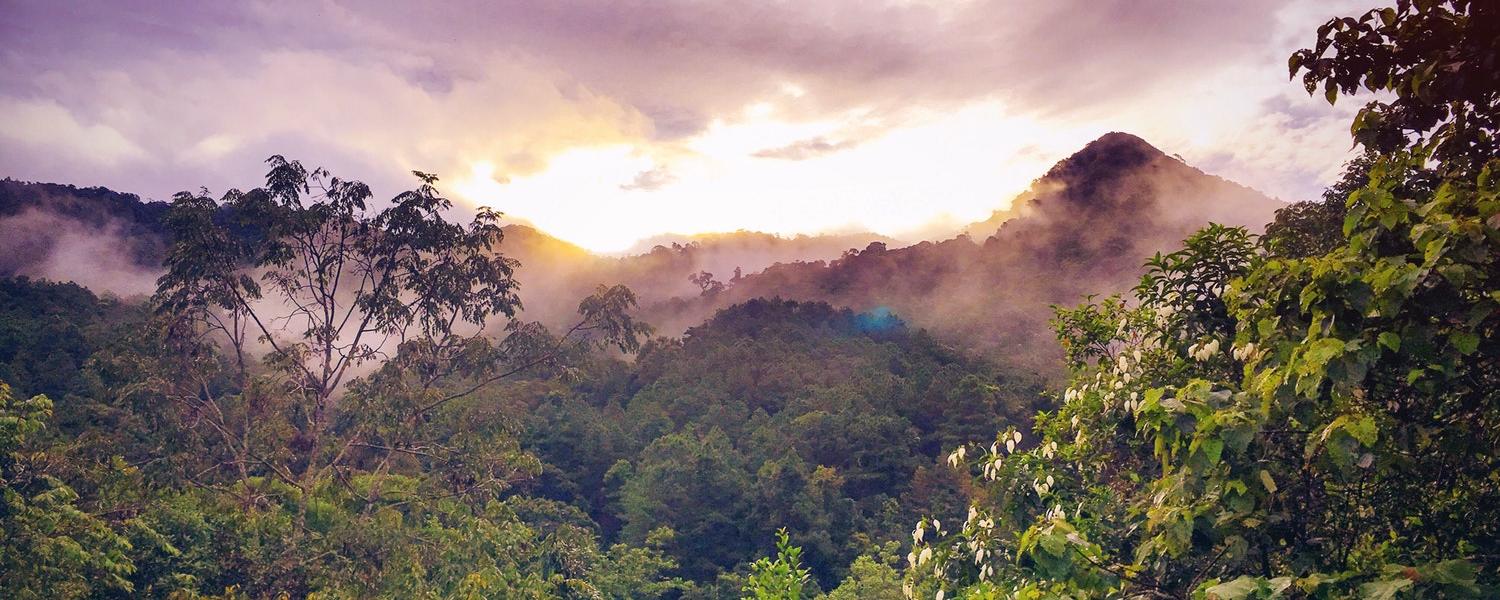 Careers in Motion: TREE founder Jordan Flagel BA'11