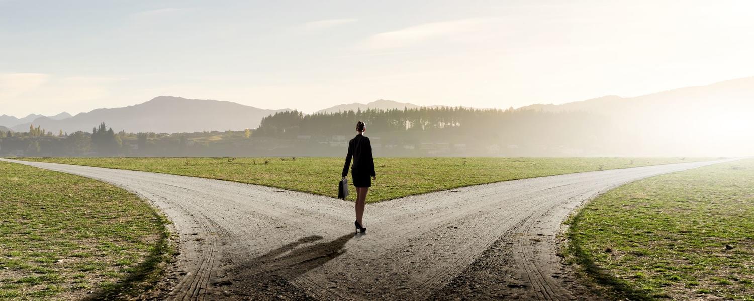 Embracing Career Transition