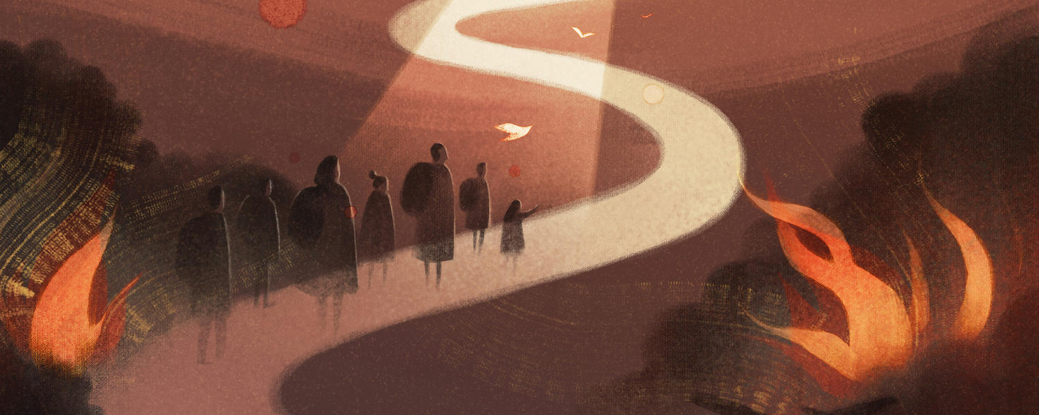 illustrations by Jasu Hu