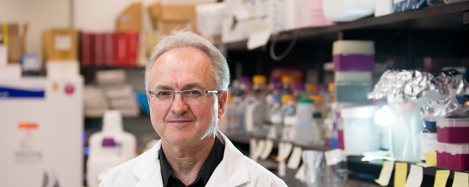 The Lifelong Journey to Medical Discovery