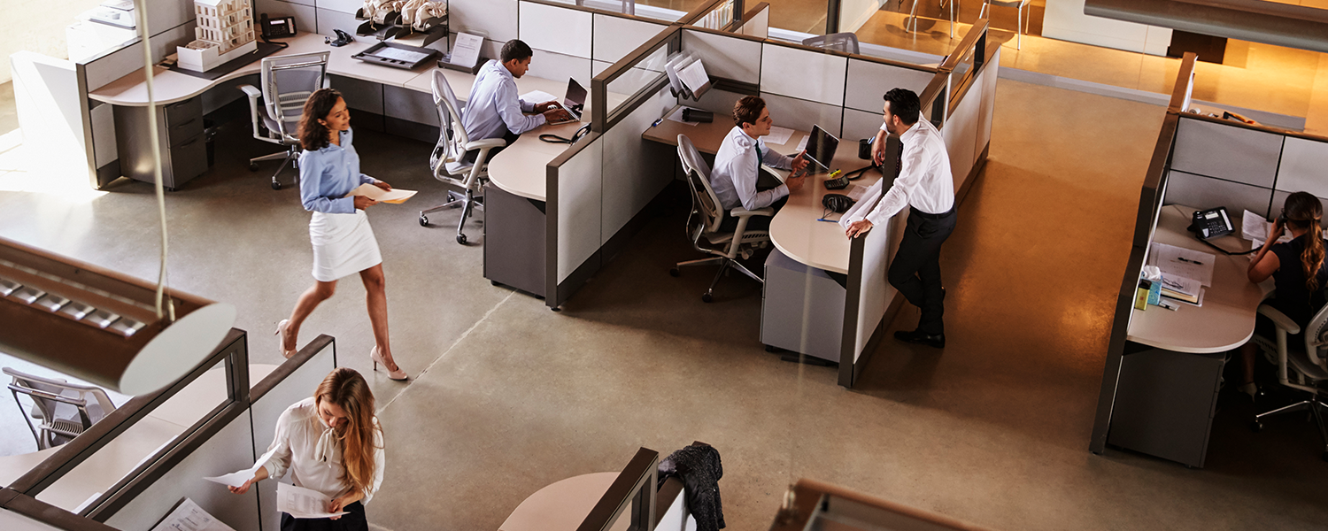 Thriving at Work: Contributing to a Culture of Respect