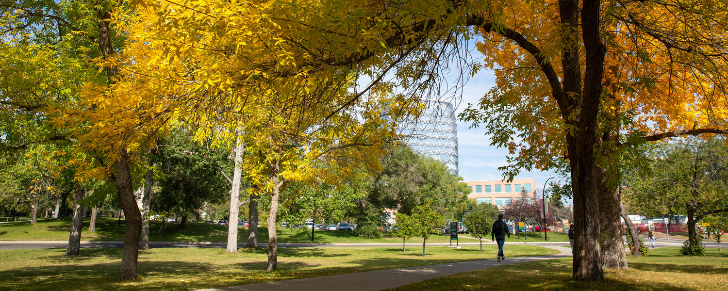 UCalgary Campus in Fall