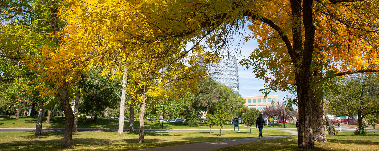 UCalgary Campus in Fall