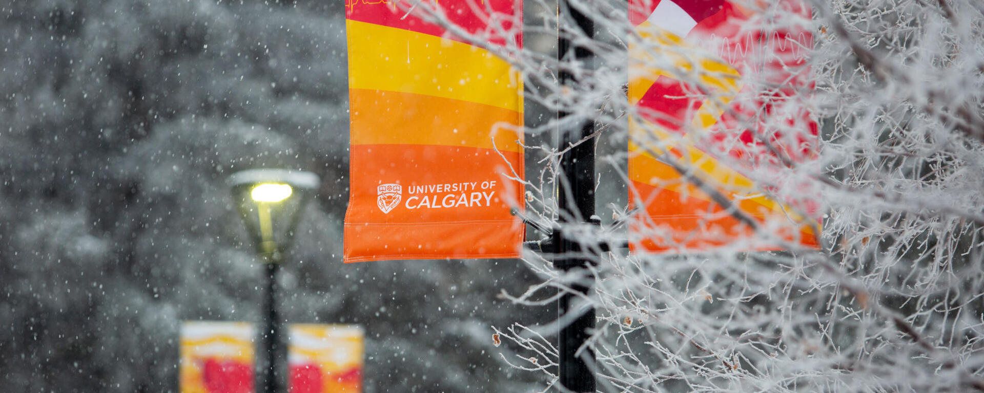 A photo of campus in the winter with snow covering the trees