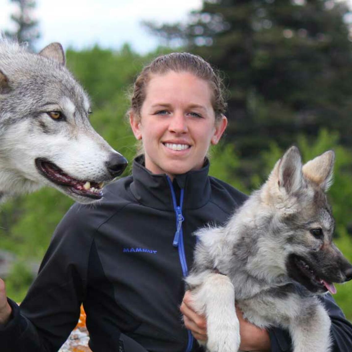 Georgina and wolfdogs