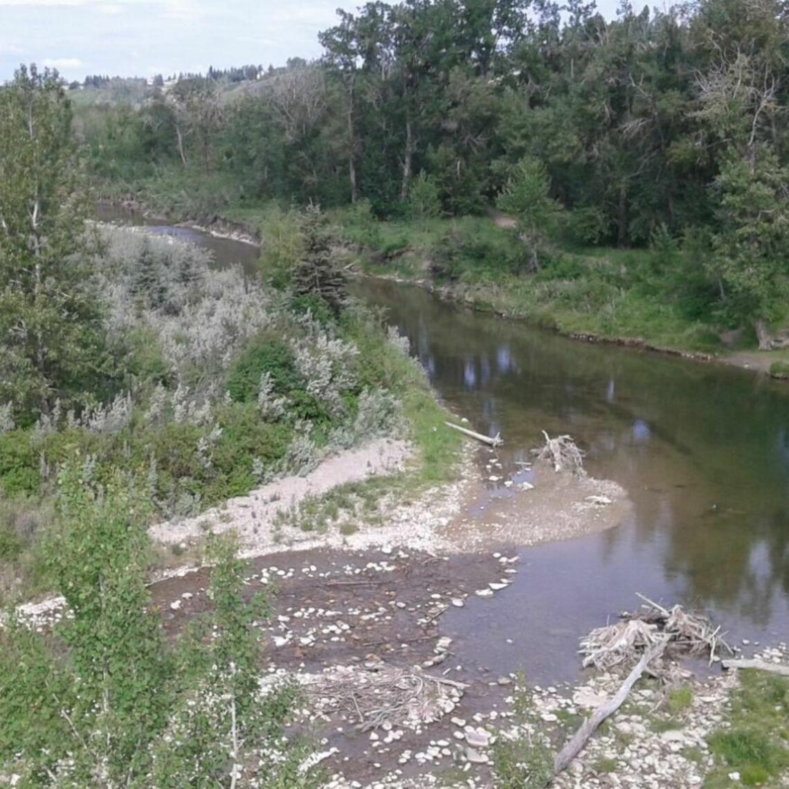 Votier’s Flats Parking Lot at Fish Creek Provincial Park 