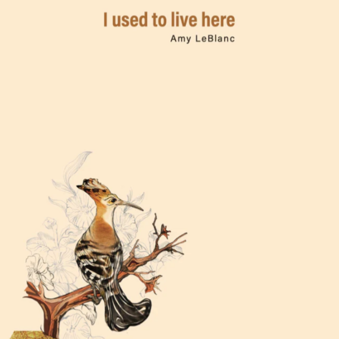 Photo of the ivory book cover with a Hoopoe bird and the text: I used to live here, Amy LeBlanc.
