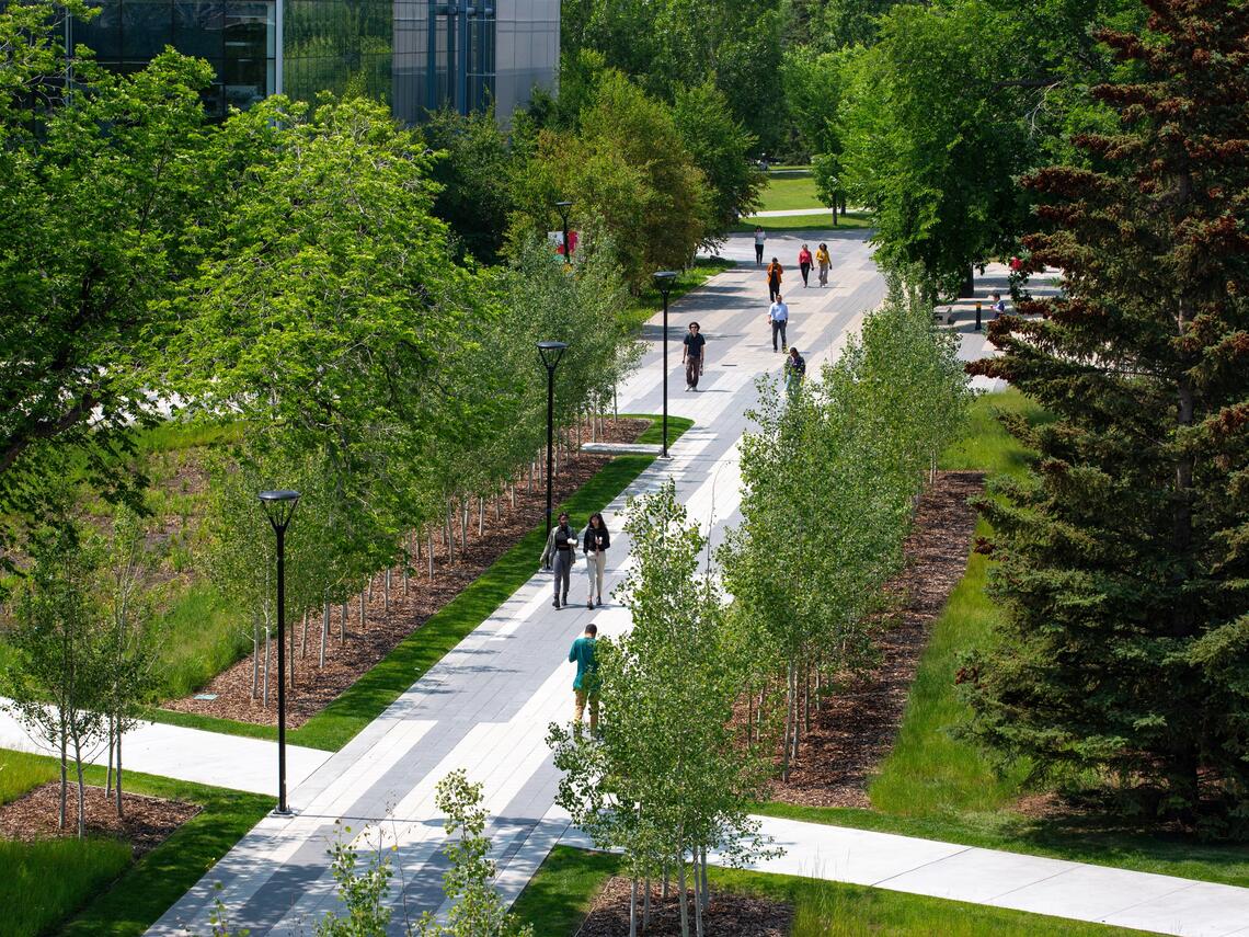 People walking on campus during the summer 