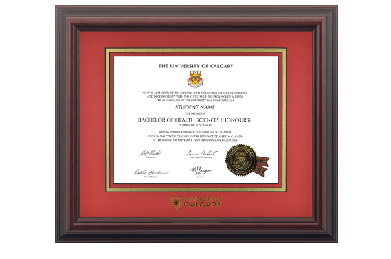 Diplomat Degree Frame