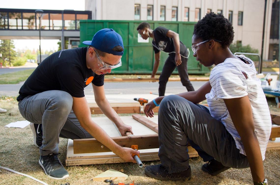 Environment and Sustainability