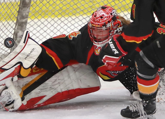 Dinos Women’s Hockey Alumni Group