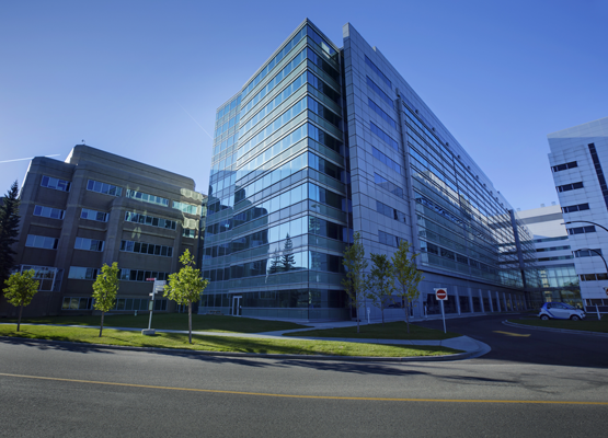 Faculty of Medicine Alumni Advisory Council