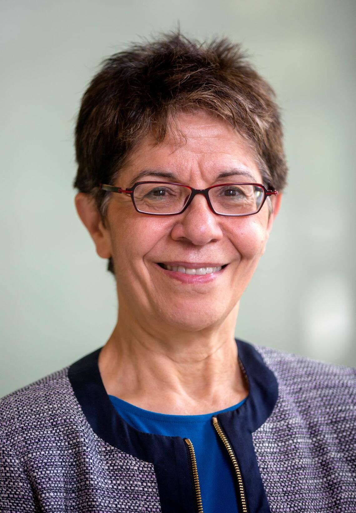 Dr. Rei Safavi-Naini