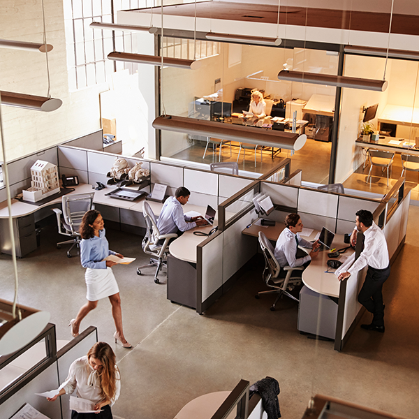 Professionals in a busy office environment