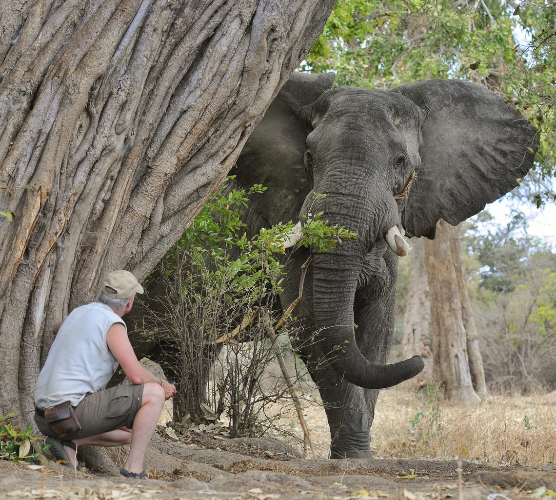 Brian Keating and an elephant