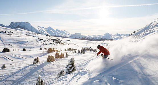Lift Passes Lift Passes