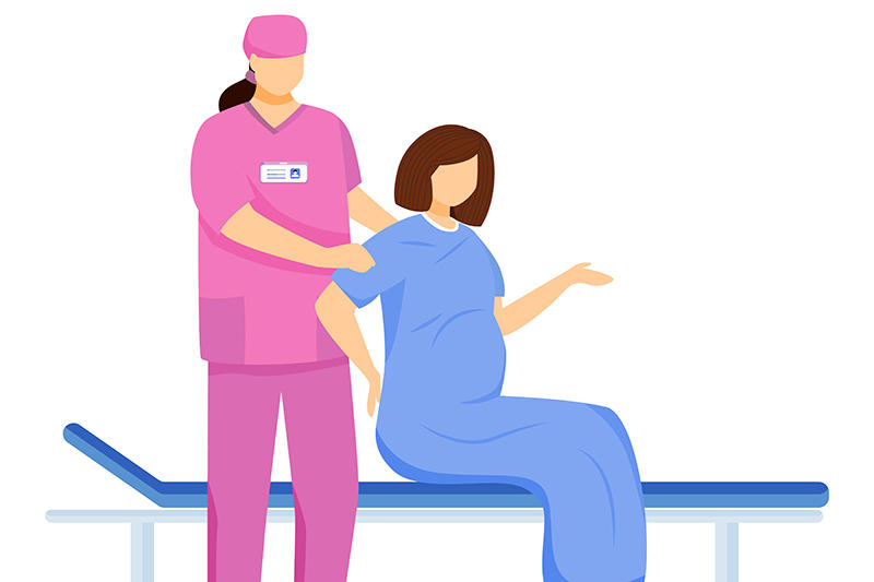 Year of the Midwife Year of the Midwife