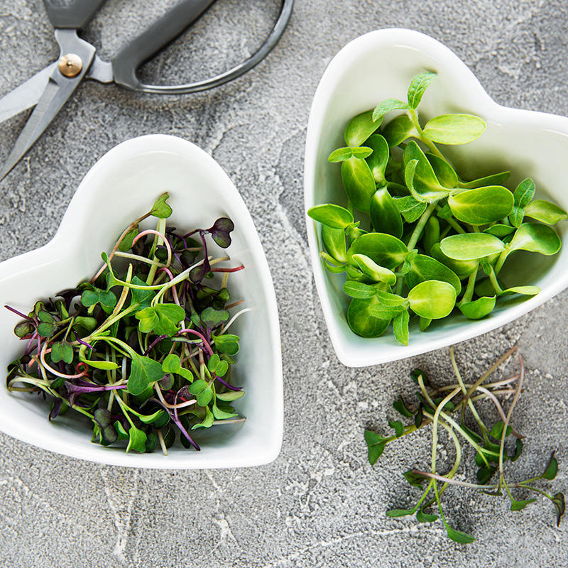 Two heart shaped bowls of green are shown on a grey table