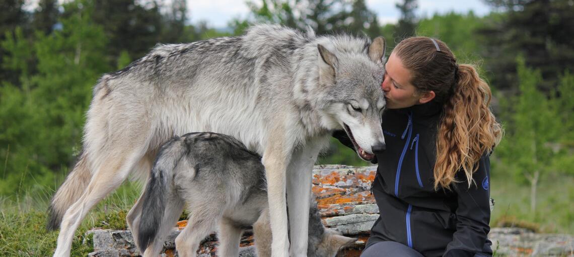 Georgina hugging and kissing one of her wolves