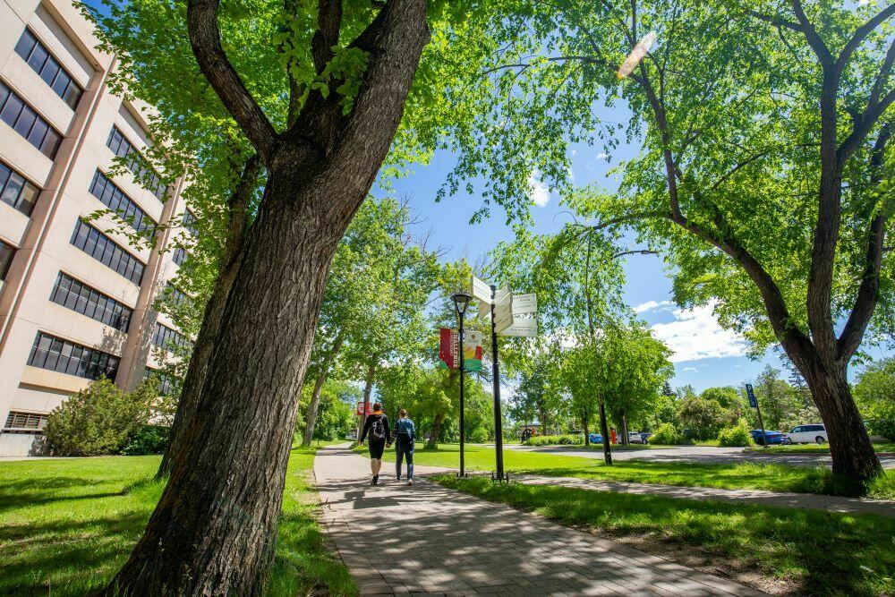 A photo of UCalgary campus in the summer
