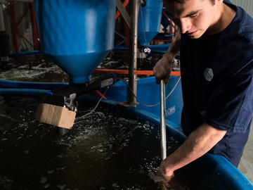 Deepwater farms