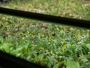 Deepwater farms