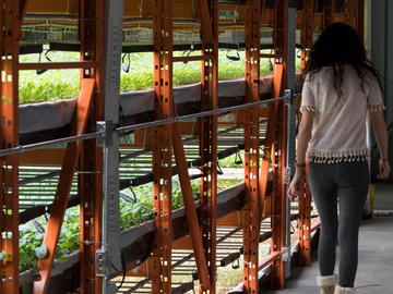 Deepwater farms