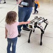 Robo Dog